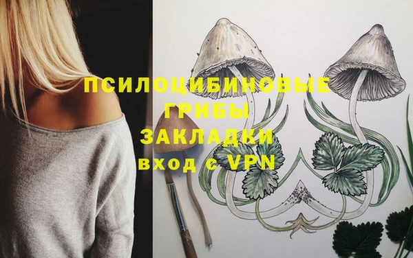 ешки Белокуриха