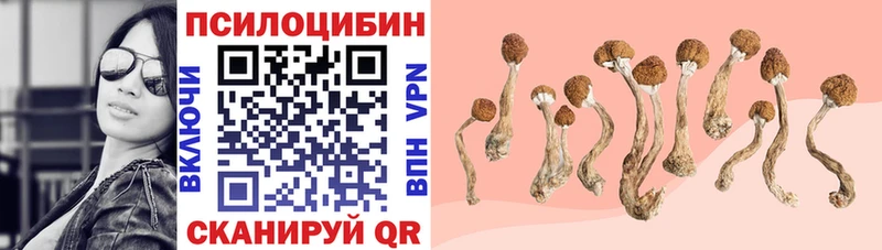 Псилоцибиновые грибы прущие грибы  цены   Пыть-Ях 