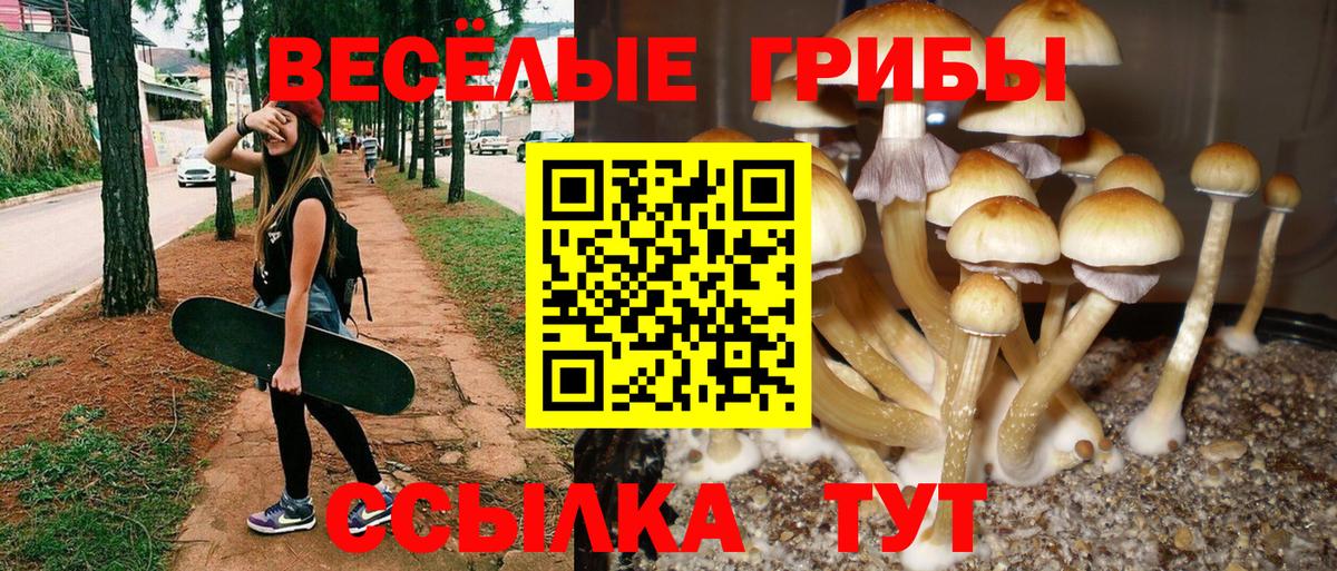 Псилоцибиновые грибы Psilocybine cubensis  Вход с VPN  Пыть-Ях 